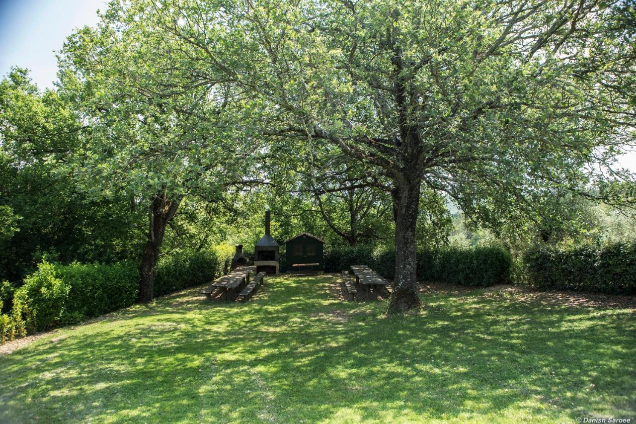 Vila Agriturismo La Papessa - Fattoria Montecchio Exteriér fotografie